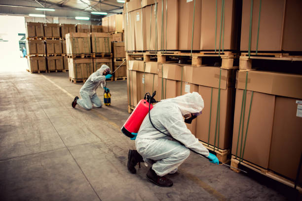 Best Rat Extermination Near Me  in Middlefield, OH