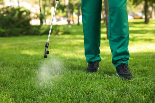 Best Termite Control Services  in Middlefield, OH
