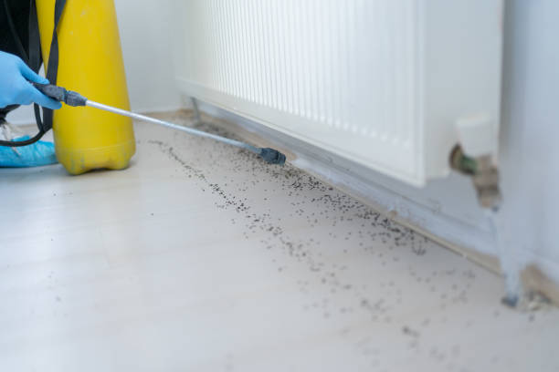 Best Commercial Pest Control Services  in Middlefield, OH